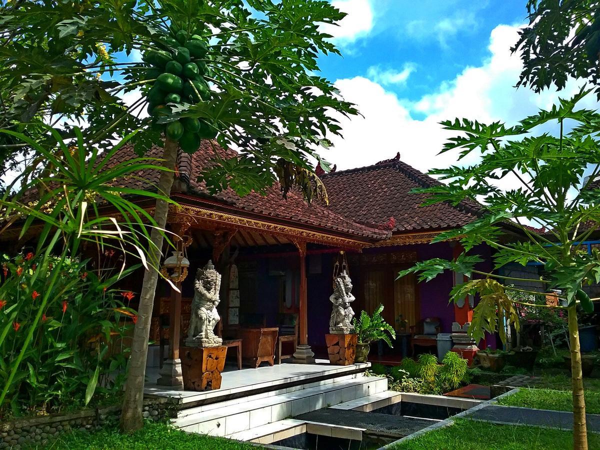Rona Accommodation Ubud Exterior foto